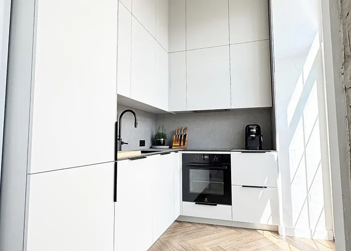 Rooftop Terrace Loft 15 Minute Walk To Zalgiris Arena דירה