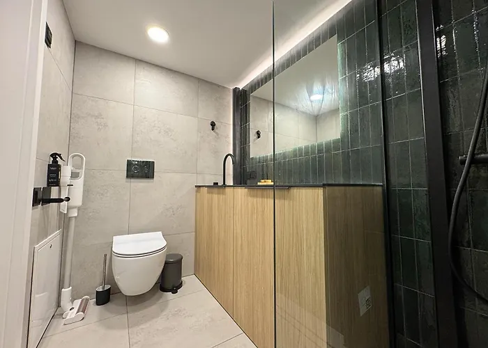 Rooftop Terrace Loft 15 Minute Walk To Zalgiris Arena דירה קובנה